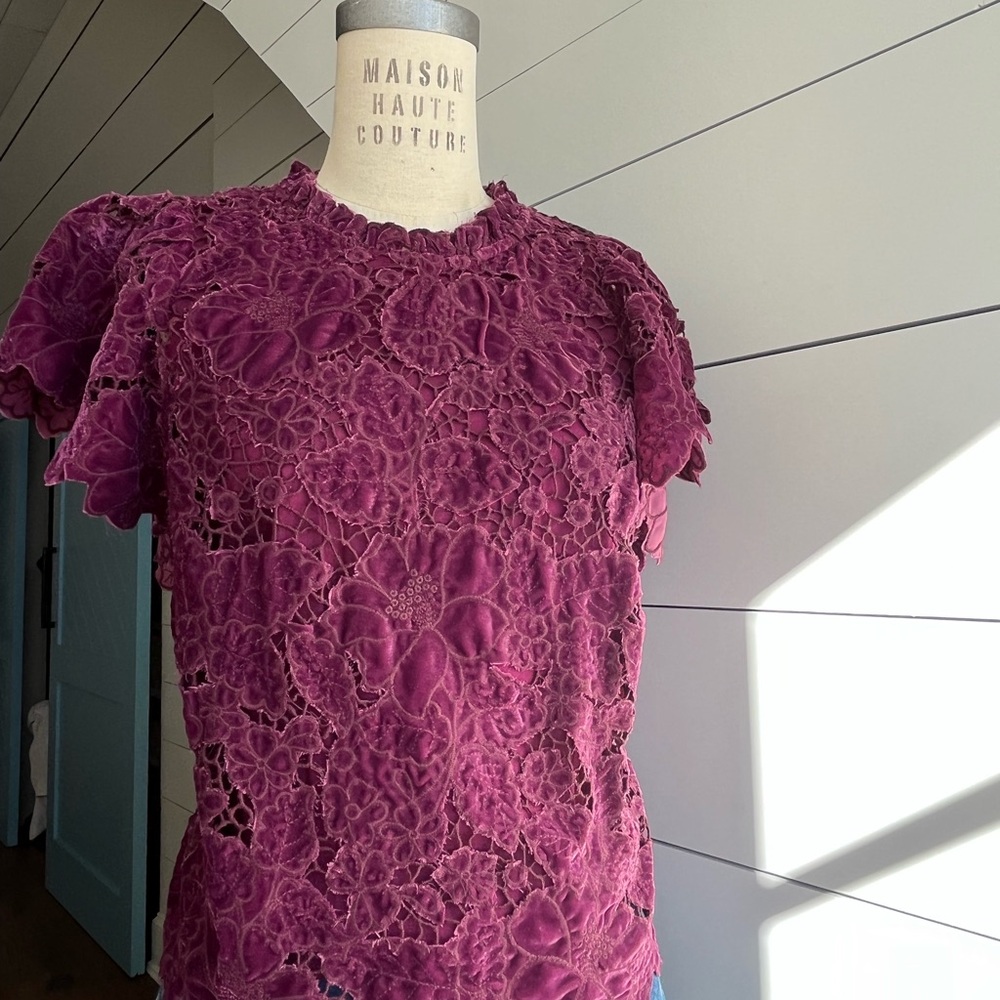 Anthropologie Velvet Flutter Sleeve Top